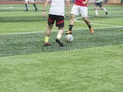 杨幂离婚后,七年事业腾,刘恺威离婚,奇异果体育平台,奇异果体育官方网站,奇异果体育登录入口,奇异果体育app下载