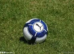 确保体育时,间充足,五部门联合,奇异果体育平台,奇异果体育官方网站,奇异果体育登录入口,奇异果体育app下载