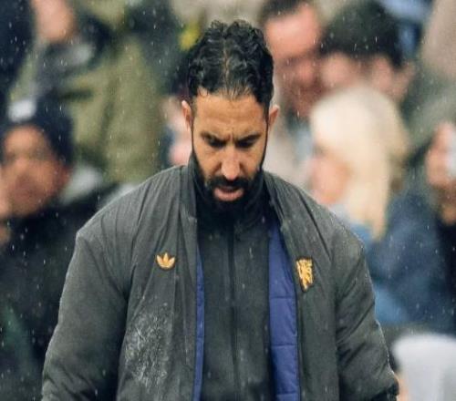 中锋生存指,破解,鲨围剿,奇异果体育平台,奇异果体育官方网站,奇异果体育登录入口,奇异果体育app下载