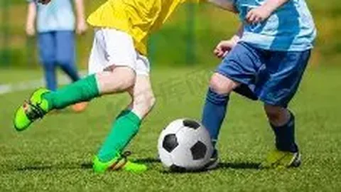 奇异果体育 产品 132607 wgv