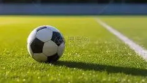 奇异果体育 资讯 132555 lwo