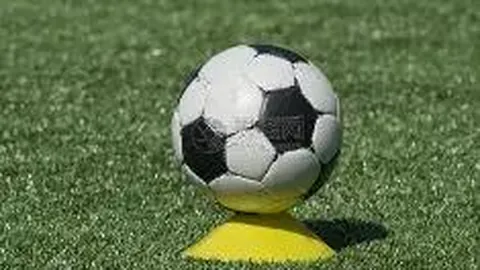 奇异果体育 产品 110733 1xs