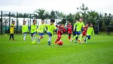 奇异果体育 产品 131754 j9q