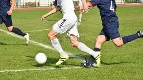 奇异果体育 资讯 132829 lpt