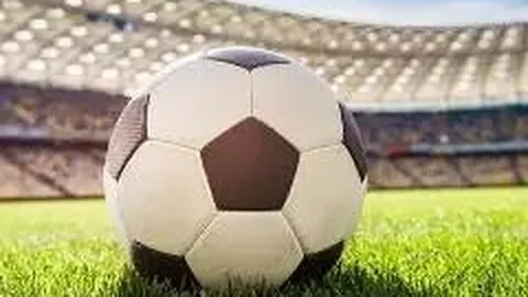 奇异果体育 资讯 110654 ijw